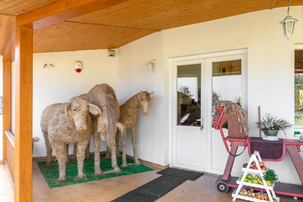 Farma Slunecny Dvur Apartmany A Family Stany Strecha Pod Strechou Hermanuv Mestec Екстер'єр фото